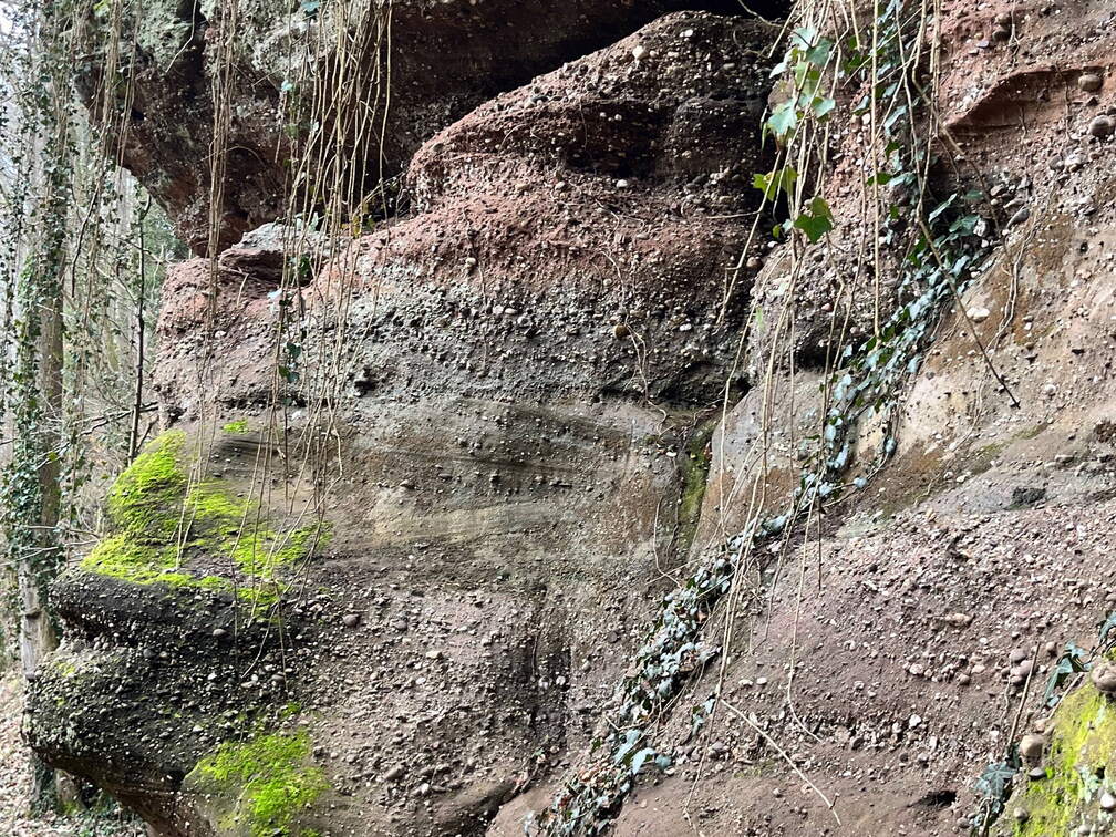 24-02-28 10-56-07 8762